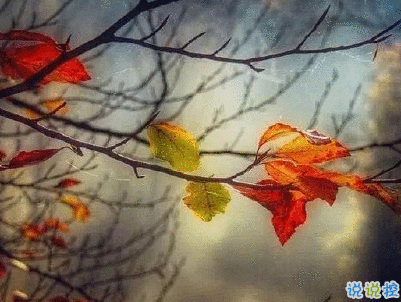 描写秋天的句子优美带图片 秋天到了微信心情说说11